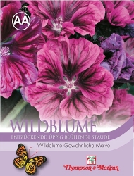 Thompson & Morgan Wildblume gew. Malve <br />
50 Korn