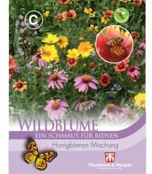 Thompson & Morgan Wildblume Honigbienen Mischung