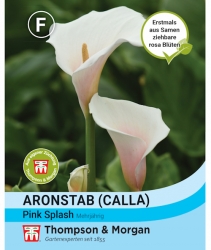 Thompson & Morgan Calla Pink Splash Aronstab