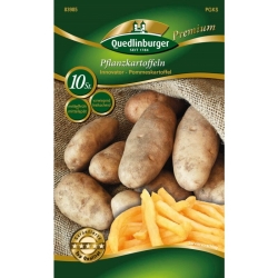 Quedlingburger Pflanzkartoffel Spez. Innovator 10 Knollen  (GP 0,50 /Stück)