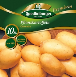 Pflanzkartoffel Spez Colomba KP 10St gelb (GP  0,50 /Stck)