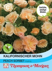 Thompson & Morgan Kalifornischer Mohn Peach Sorbet