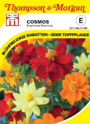 Thompson & Morgan Cosmos sulphureus Brightness Mischung