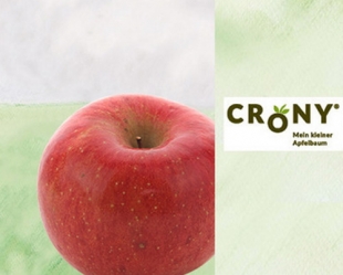 Häberli-Obst:Crony ApfelbaumDISCOVERY Malus* im C7.5