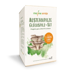 Meine Ernte Austernpilze Glückspilz-Set