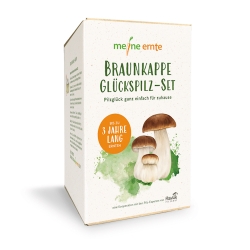 Meine Ernte Braunkappe Glückspilz-Set