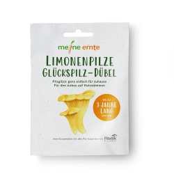 Meine Ernte Limonenpilze Glückspilz-Dübel