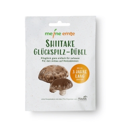 Meine Shiitake Glückspilz-Dübel