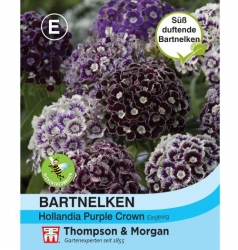 Thompson & Morgan Bartnelken Hollandia Purple Crown