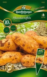 Quedlingburger Pflanzkartoffel Goldmarie      (GP 0,50 /Knolle)