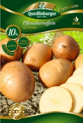 Quedlinburger Pflanzkartoffel Up to Date  (GP 0,50 /Stück)