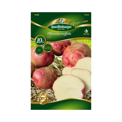 Quedlinburger Pflanzkartoffel Cara 10 Knollen   (GP 0,50 /Stück)