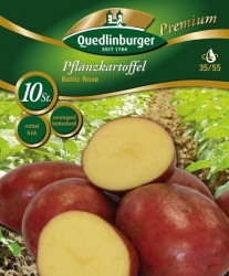 Quedlinburger Pflanzkartoffel Baltic Rose 10 Knollen (GP 0,50 /Stück)
