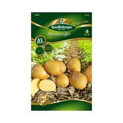 Quedlinburger Pflanzkartoffel Penni10 Knollen   (GP 0,50 /Knolle)