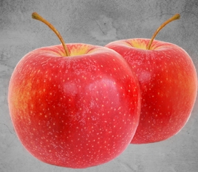 Häberli Obst  Apfel - Miniapfel MINI-COX - Arcadia Mini