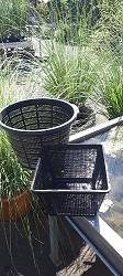 Wasserpflanzenkorb PF14